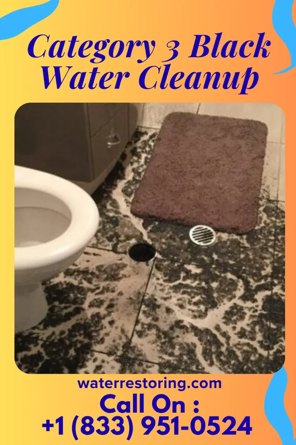 Category 3 Black Water Cleanup in Isabel, SD