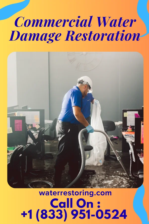 Commercial Water Damage Restoration in Isabel, SD