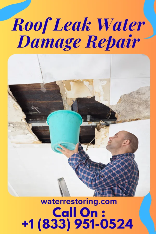 Roof Leak Water Damage Repair in Isabel, SD